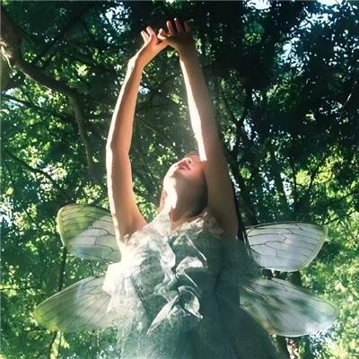空中飞车恋曲